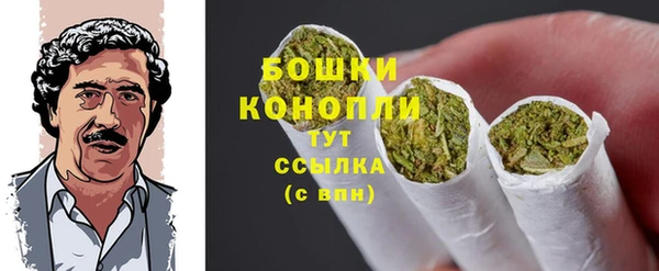 гашик Белоозёрский