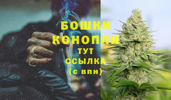 2c-b Белокуриха